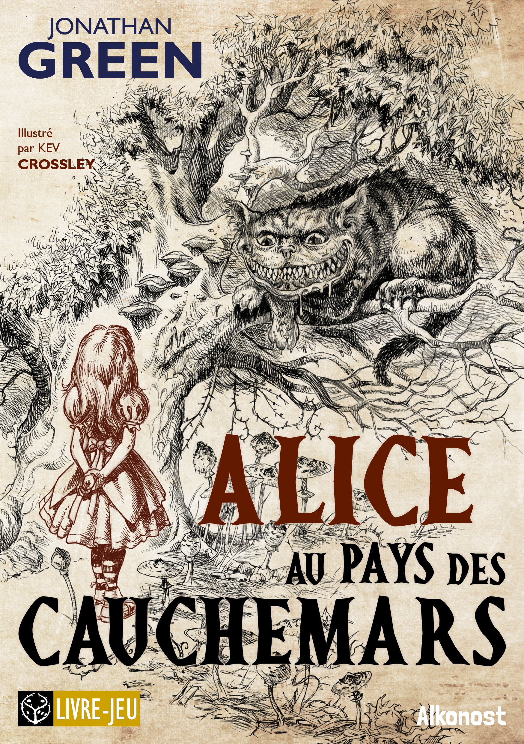 Alice Au Pays Des Merveilles Personnage Illustré
